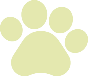 Picture of Equipe Pet Life